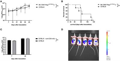 Myeloid Derived Suppressor Cells: Key Drivers of Immunosuppression in Ovarian Cancer